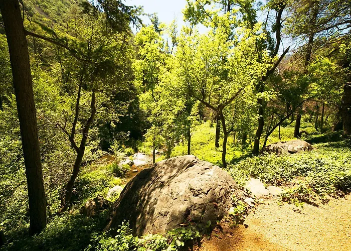 Orchard Canyon On Oak Creek Lodge Sedona
